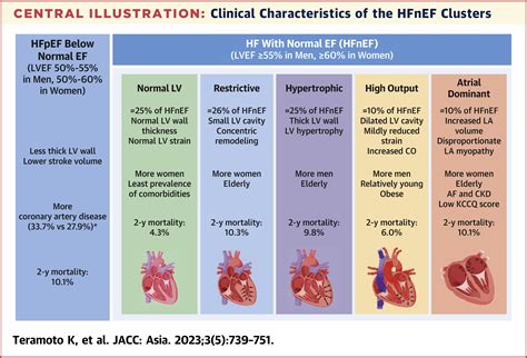 normal ejection fraction chart.